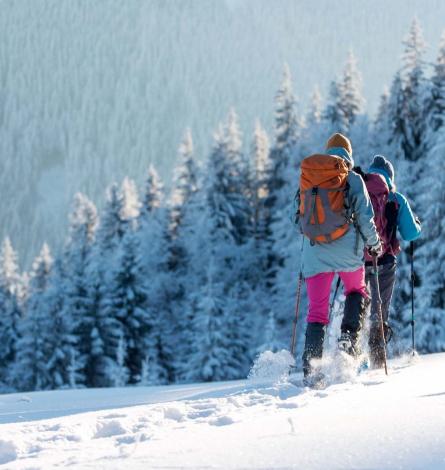 Due escursionisti camminano nella neve, circondati da alberi innevati in montagna.